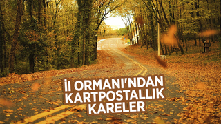 İl Ormanı’nda sonbahar bir başka