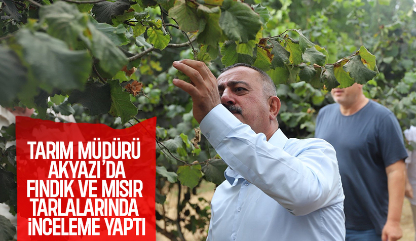 İl Tarım Müdürü Asım Baş, sahaya indi; Akyazı'da bahçelerde incelem yaptı