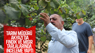 İl Tarım Müdürü Asım Baş, sahaya indi; Akyazı'da bahçelerde incelem yaptı