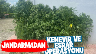 İlçe ve İl Jandarmadan uyuşturucu operasyonu