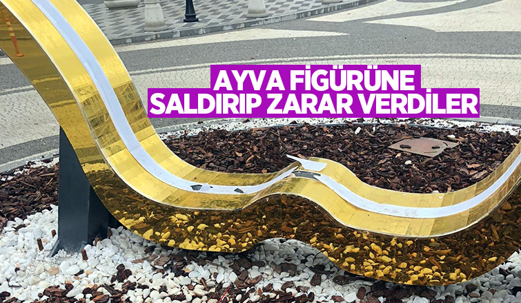 İlçenin ayva figürüne taşlı saldırı