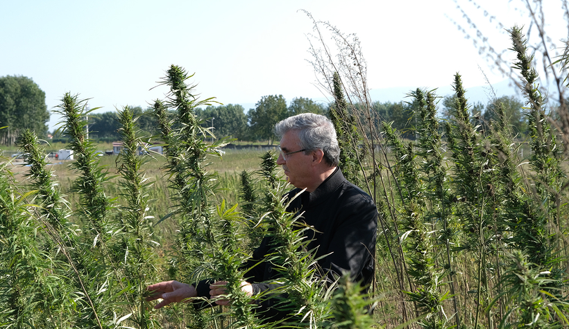 İlk hasadı Ekrem Yüce yaptı