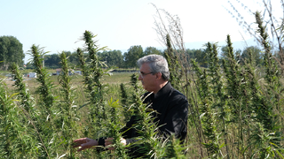 İlk hasadı Ekrem Yüce yaptı