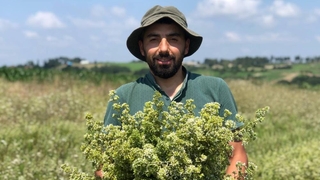 İlk kez dikilen İstanbul kekiğinin hasadı yapıldı