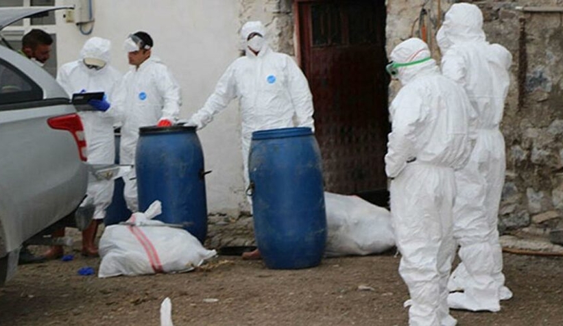 İlk kez insanlara bulaşan türü görüldü