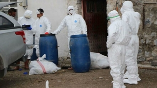 İlk kez insanlara bulaşan türü görüldü