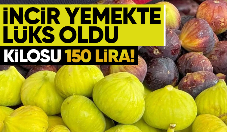 İncirde lüks oldu kilosu 150 lira