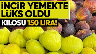 İncirde lüks oldu kilosu 150 lira