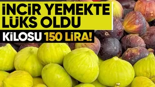 İncirde lüks oldu kilosu 150 lira