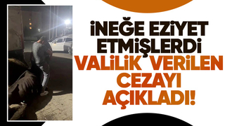 İneğe eziyet olayında bir açıklamada Valilikten