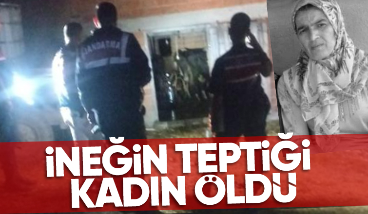 İneğin teptiği kadın hayatını kaybetti