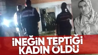 İneğin teptiği kadın hayatını kaybetti
