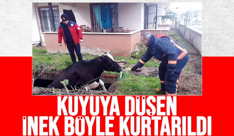 İnek kuyuya düştü