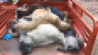 İnfial uyandıran olayda yeni gelişme