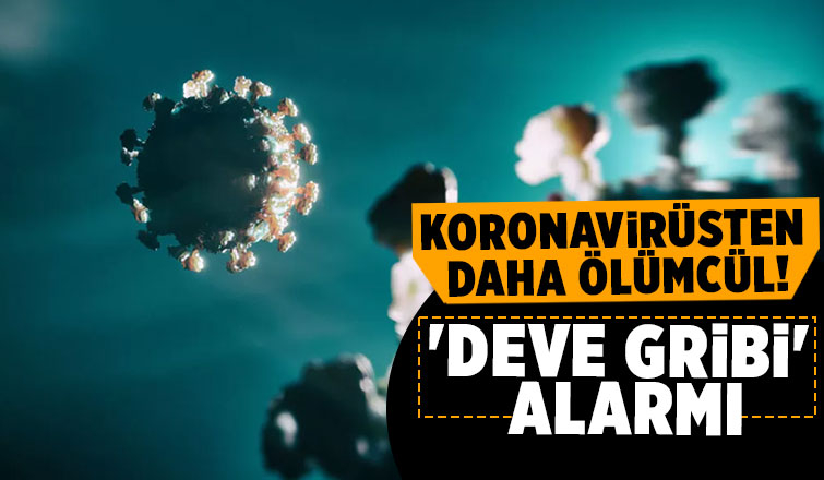 İnsandan insana bulaşıyor, Dünya Kupası'ndan yayılabilir