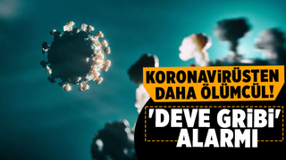 İnsandan insana bulaşıyor, Dünya Kupası'ndan yayılabilir