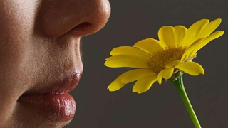 İnsanlar 1 trilyon farklı kokuyu algılayabilir