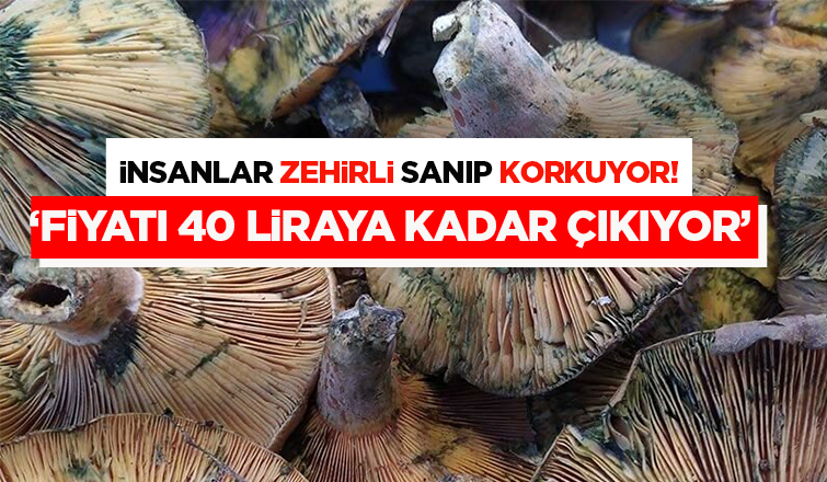 İnsanlar zehirli sanıp korkuyor
