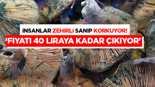 İnsanlar zehirli sanıp korkuyor