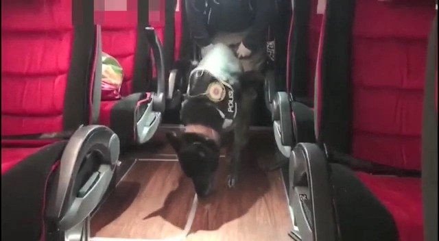  Interpol'den alınan istihbarat, uyuşturucu çetesini çökertti