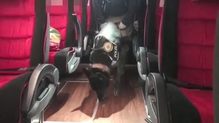  Interpol'den alınan istihbarat, uyuşturucu çetesini çökertti