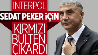 Interpol, Sedat Peker için kırmızı bülten çıkardı