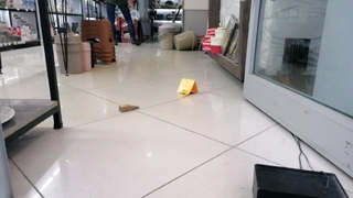 İş yerinde kurşun yağdırmıştı, tutuklandı