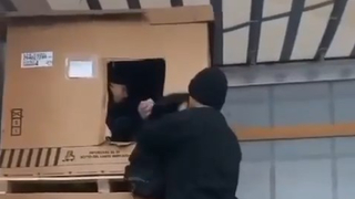 İşçiler şok oldu: Kutudan mülteci çıktı