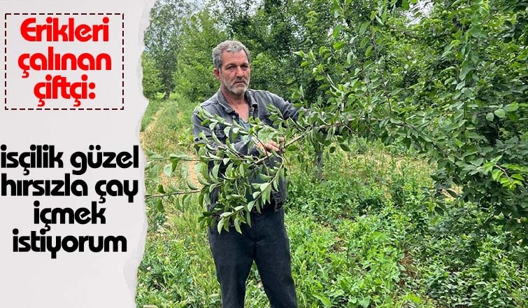 İşçilik güzel, hırsızla çay içmek istiyorum