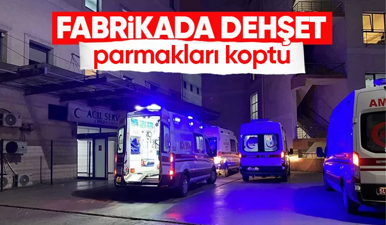 İşçinin makineye kaptırdığı parmakları koptu