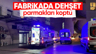 İşçinin makineye kaptırdığı parmakları koptu