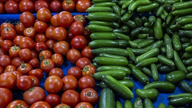 İşgal domates ve salatalık fiyatını düşürdü