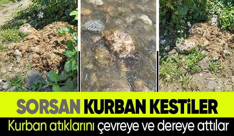 İşkembe ve sakatatları çevreye attılar