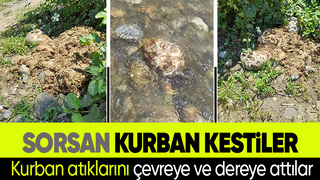 İşkembe ve sakatatları çevreye attılar