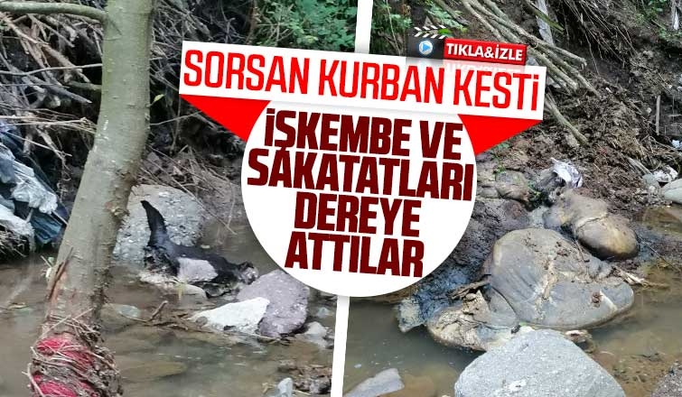 İşkembe ve sakatatları dereye attılar