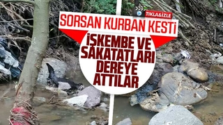 İşkembe ve sakatatları dereye attılar