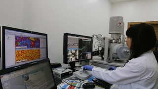 İşte iş verenlerin en çok tercih ettiği bölüm