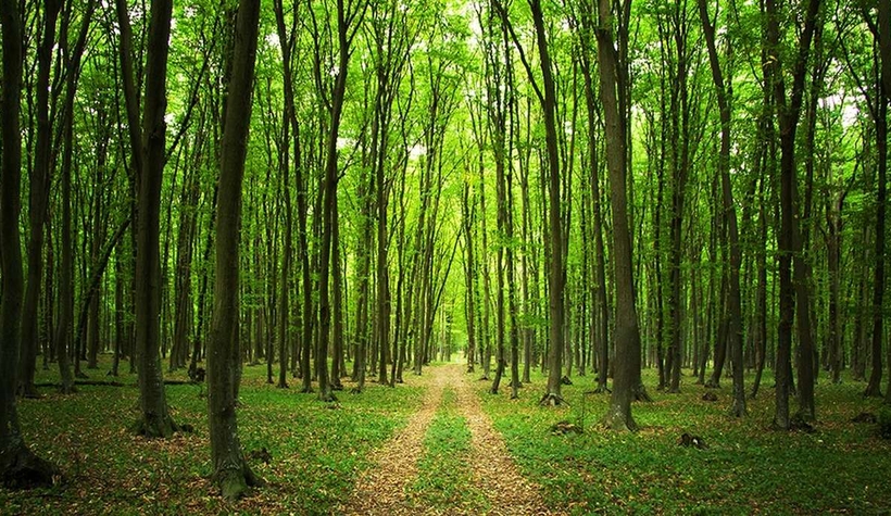  İşte işçi sınavına girmeye hak kazananlar