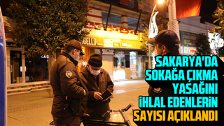 İşte Sakarya'da sokağa çıkma yasağını ihlal edenlerin sayısı