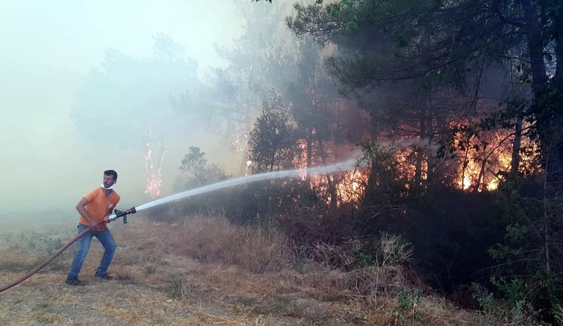 İşte Taraklı'daki yangının nedeni