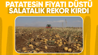 İşte üretici ve market arasındaki ürünlerde fiyat farkı