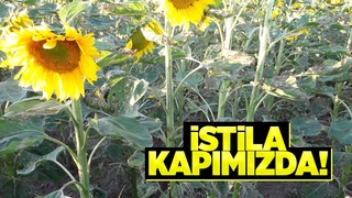 İstila Kapımızda!