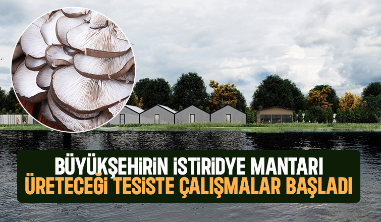 İstiridye mantarı üretilecek tesiste çalışmalar başladı