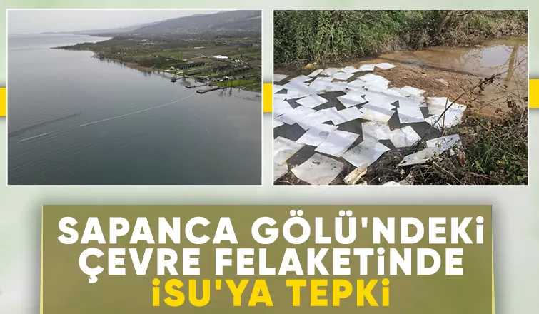 İSU Sapanca Gölü'ndeki çevre felaketini seyrediyor