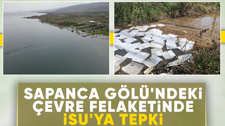 İSU Sapanca Gölü'ndeki çevre felaketini seyrediyor