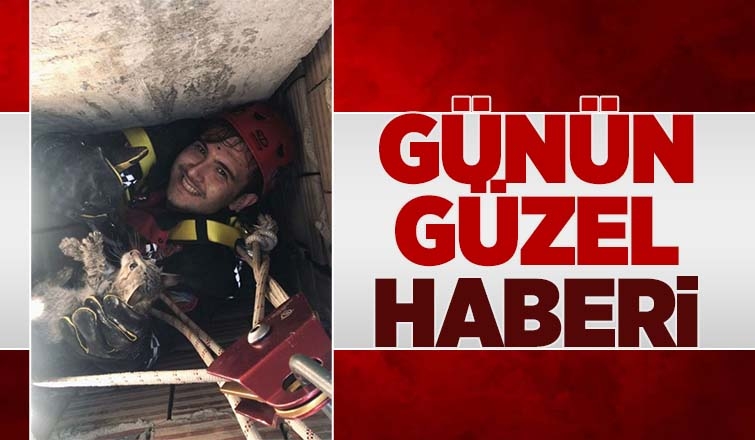 İtfaiye erleri yavru kediyi sağ salim kurtardı