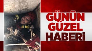 İtfaiye erleri yavru kediyi sağ salim kurtardı