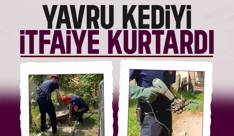 İtfaiyeden kedi kurtarma operasyonu