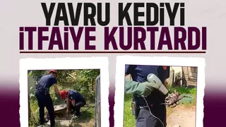İtfaiyeden kedi kurtarma operasyonu