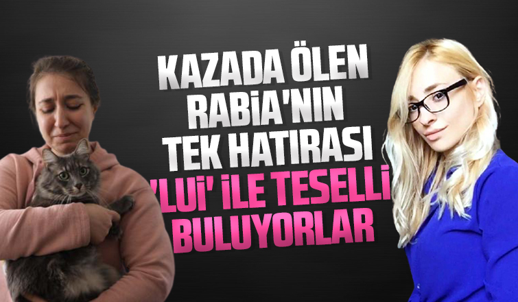 İyi kalpli Rabia'dan geriye kedisi kaldı